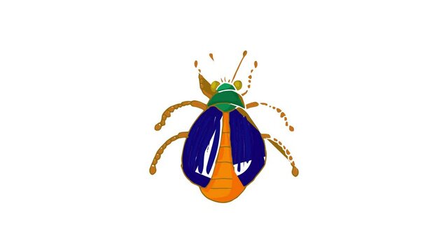 Insect bug icon animation best cartoon object on white background