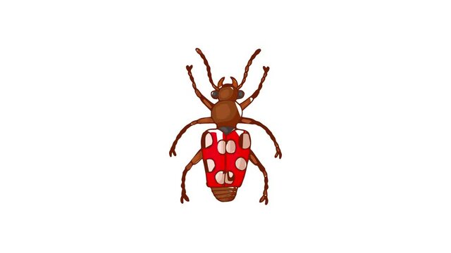 Insect bug icon animation best cartoon object on white background