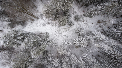 Aerial view of the Black Forest covered with snow