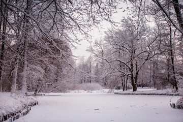Pejzaż zimowy, zamrożony staw i białe drzewa w parku	