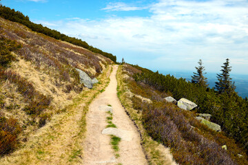 Fototapeta na wymiar A path on the slope of the mountain for walking in the fresh air. Active sports.