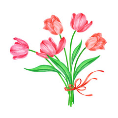 Bouquet of tulips with scarlet ribbon on white isolated background for card, invitation and much more. Hello Spring, Women's Day, Mother's Day. Watercolor