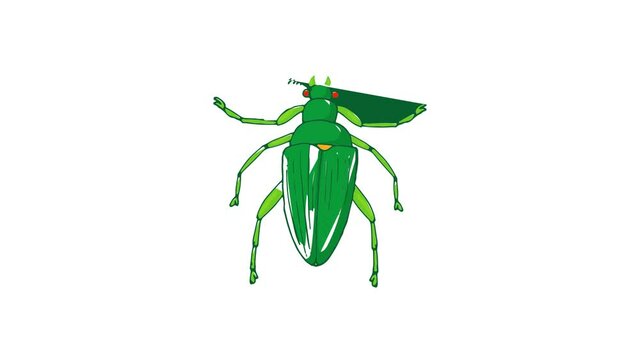 Insect bug icon animation best cartoon object on white background