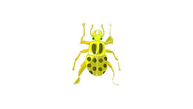 Insect bug icon animation best cartoon object on white background
