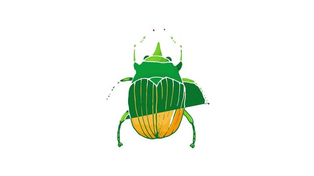 Insect bug icon animation best cartoon object on white background