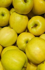 Pile of yellow apples in supermarket.