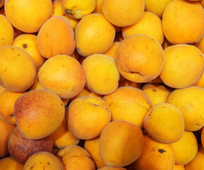 Lot of ripe apricots in the basket.