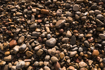 Wet pebbles - Beach texture 