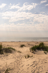 sand dunes on the beach