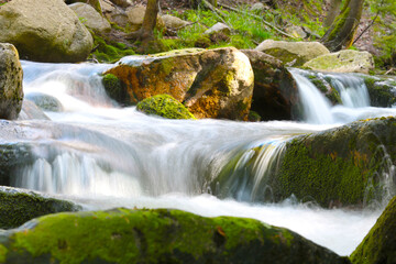 A river flows through the rocks in the forest in the mountains.