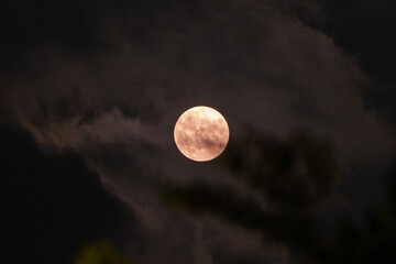 full moon in the night