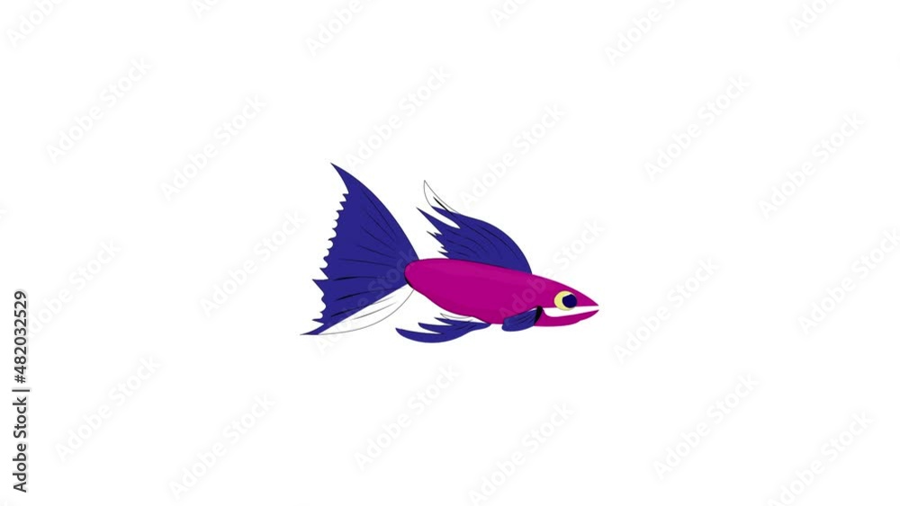 Wall mural Small purple fish icon animation best cartoon object on white background - Wall murals