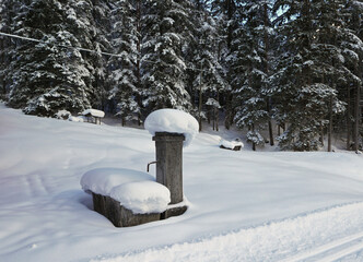 scenico panorama dolomitico con la natura innevata