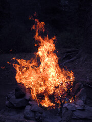 Orange flame of campfire.Siberia. Altay region, Russia