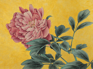 pink peony on golden background - 482033366