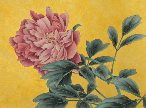 pink peony on golden background