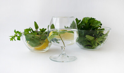 Lemon water with mint and Cups with mint leaves and lemon slices. Detox. Wellness. Healthy lifestyle.