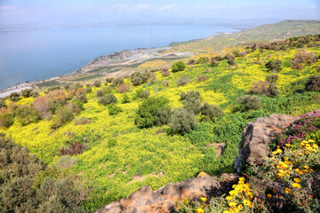 Beautiful wild flowering landscape from on Kinneret or Sea of Galilee or Tiberius lake in distance view. It is the lowest freshwater lake on Earth. View from Kfar Haruv, Israel  