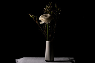Beautiful white buttercup flower in ceramic vase on black background