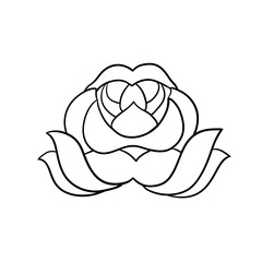 abstract image lotos. vector illustration