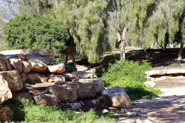 Park in sde boker. Israel.