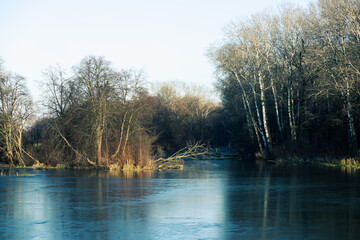 Rzeka krajobraz zimowy z drzewami i zaroślami