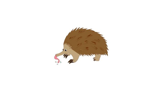 Anteater icon animation best cartoon object on white background