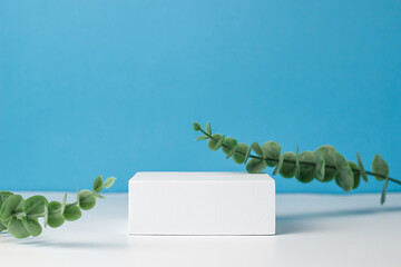 white rectangular box with shadows on a light white blue  background. Branches with eucalyptus leaves. For cosmetics or cosmetology background. stand for advertising beauty products