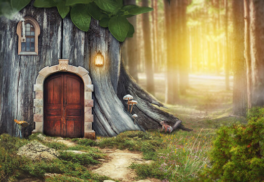 Fairy tree house with old door in fantasy forest