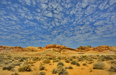 Fototapeta na wymiar Blue skies and red sandstone landscape in Valley of Fire State Park in Nevada