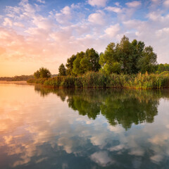 Fototapeta na wymiar Calm Lake with Reeds at Sunrise