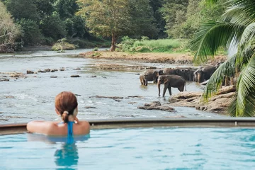 Foto op Aluminium Woman relaxing in swimming pool and watching a Herd of Young elephants in river water hosing in Pinnawala Elephant Orphanage. © Soloviova Liudmyla