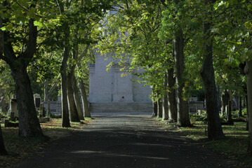 path in the park