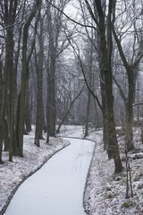 Park zaśnieżony krajobraz zimowy 