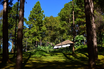 Beautiful landscapes of a lake in the mountains