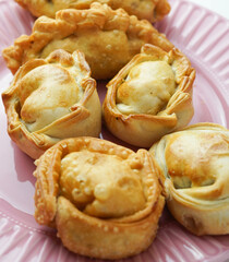 Varias empanadas sudamericanas rellenas de carne y pollo