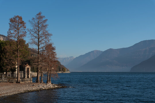 Beach and trees on the west coast of Lake Iseo