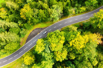 A road through a green forest. Aerial landscape. Summer landscape from the air in Switzerland. Forest and straight road.