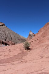 Atacama
