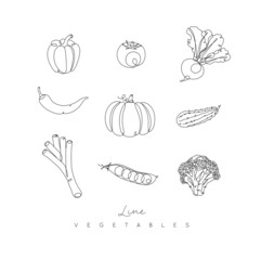 Vegetables icons pepper, tomato, beet, chili, pumpkin, cucumber, leek, peas, broccoli in pen hand drawing lines style on white background
