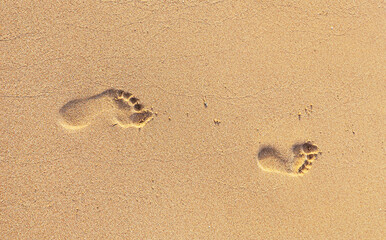 Fototapeta na wymiar Footprints of one human on sand beach,