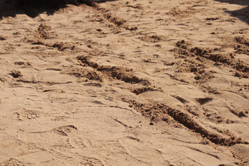 tracks in sand