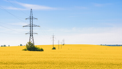 Yellow rapeseed fields with high voltage pylon lines