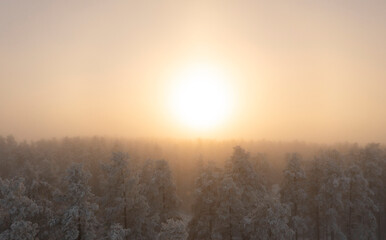 Fototapeta na wymiar Bright sunrise over winter forest with fog. Aerial view landscape with snow covered pine forest. Beautiful morning frozen scenery.