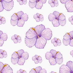 Watercolor pattern on a white background. Lilac hibiscus. Pastel shades. blooming bud