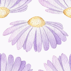 Lilac daisy flowers with small petals on a white background. Watercolor pastel pattern. Spring gentle print for bed linen, wrapping paper.