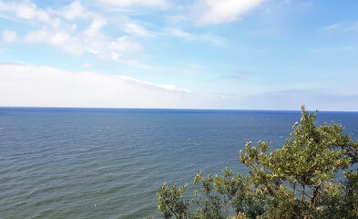 beautiful view of the turquoise blue sea and blue sky next to the bush