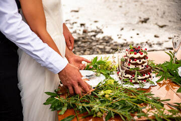 Bride and groom cut beautiful rustic wedding cake on wedding banquet. The cake is decorated with fresh berry.