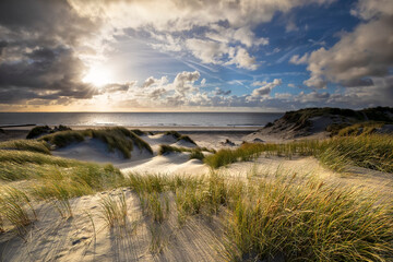 warm sunshine over North sea beach dunes