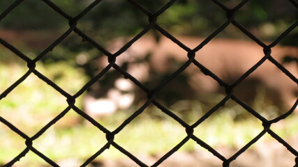 Fototapeta premium parque cultural ribeirao preto